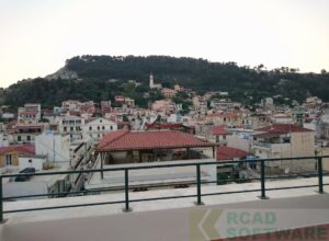 DSC_0040-01
