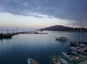 DSC_0078-01