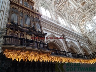 134848 Organ in the cathedral